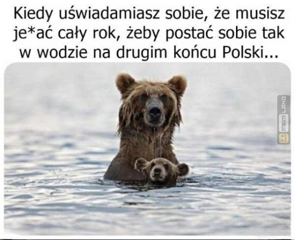 Śmieszny mem: 1717971 - MemLand