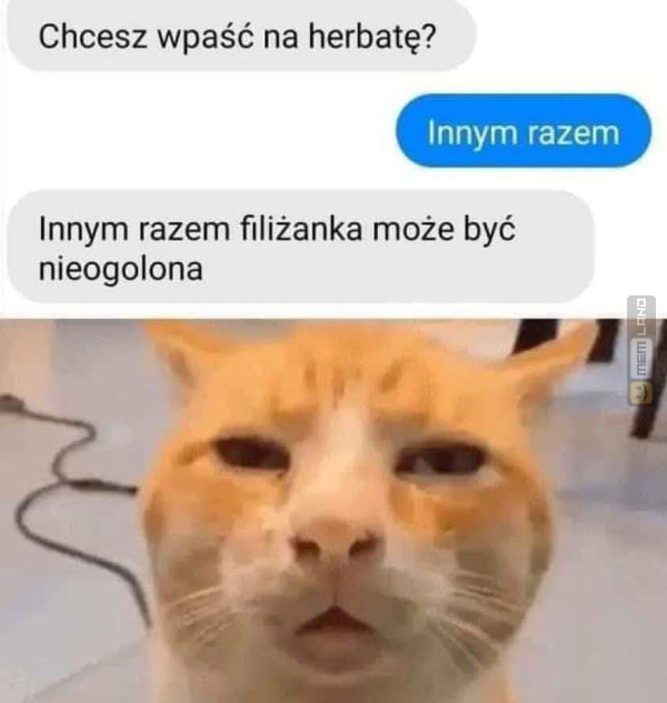 Śmieszny mem: 1722304 - MemLand