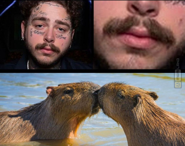 Śmieszny mem: 1724126 - MemLand