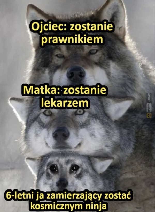 Śmieszny mem: 1739208 - MemLand