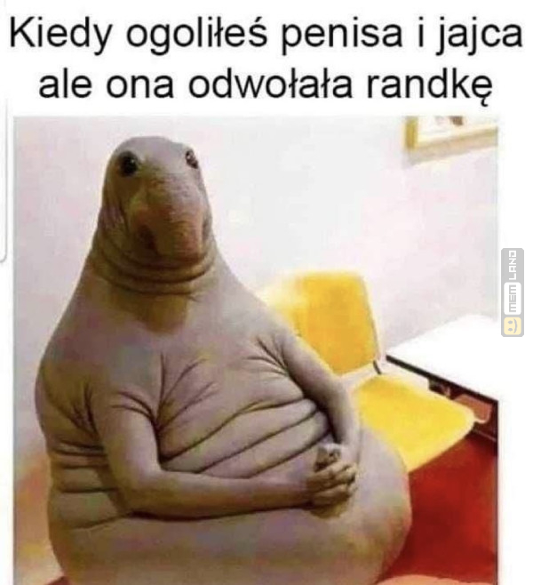 Śmieszny mem: 1740646 - MemLand
