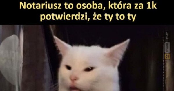 Śmieszny mem: 1741553 - MemLand