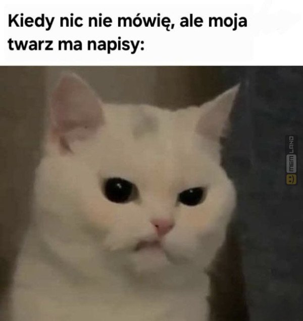 Śmieszny mem: 1744162 - MemLand