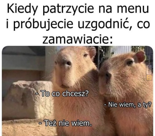 Śmieszny mem: 1748851 - MemLand