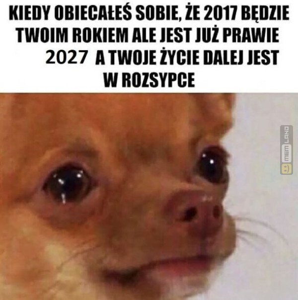 Śmieszny mem: 1749199 - MemLand