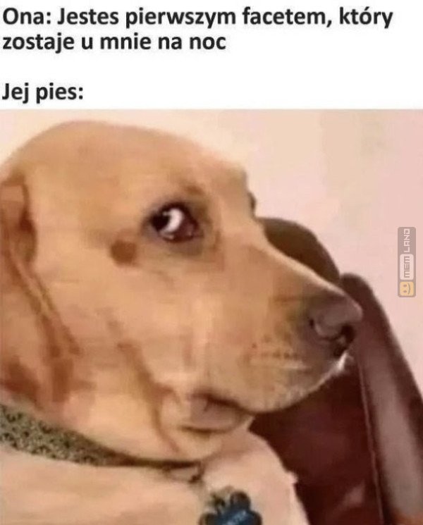 Śmieszny mem: 1751963 - MemLand