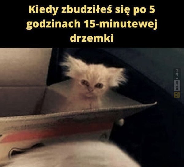 Śmieszny mem: 1755156 - MemLand