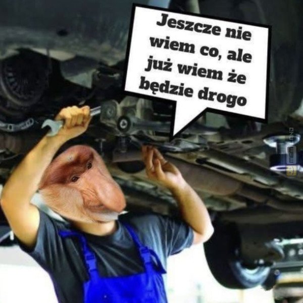 Śmieszny mem: 1767617 - MemLand