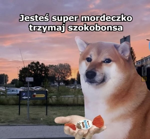 Śmieszny mem: 1767932 - MemLand