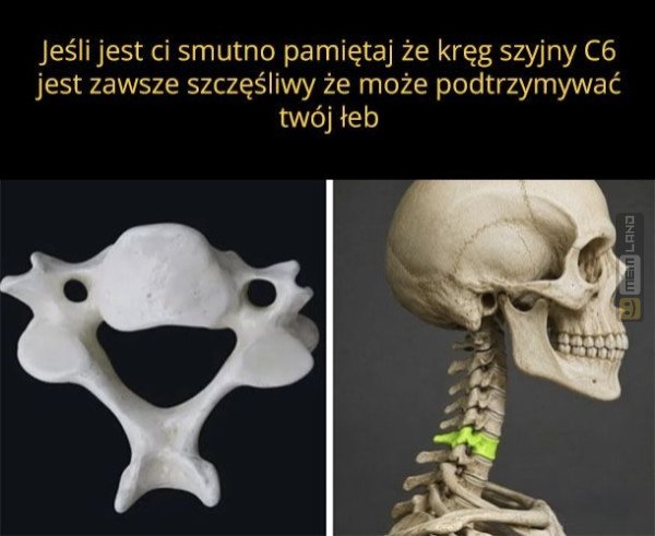 Śmieszny mem: 1770695 - MemLand
