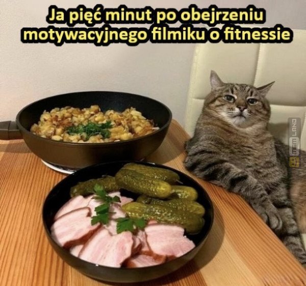 Śmieszny mem: 1773766 - MemLand