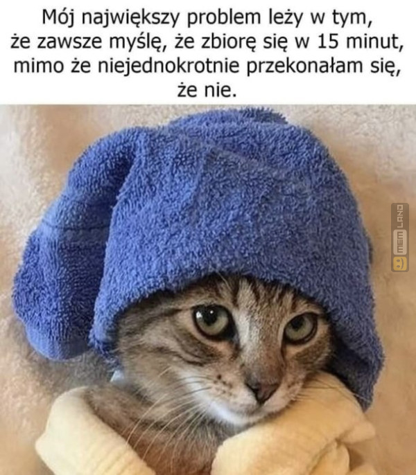 Śmieszny mem: 1776769 - MemLand