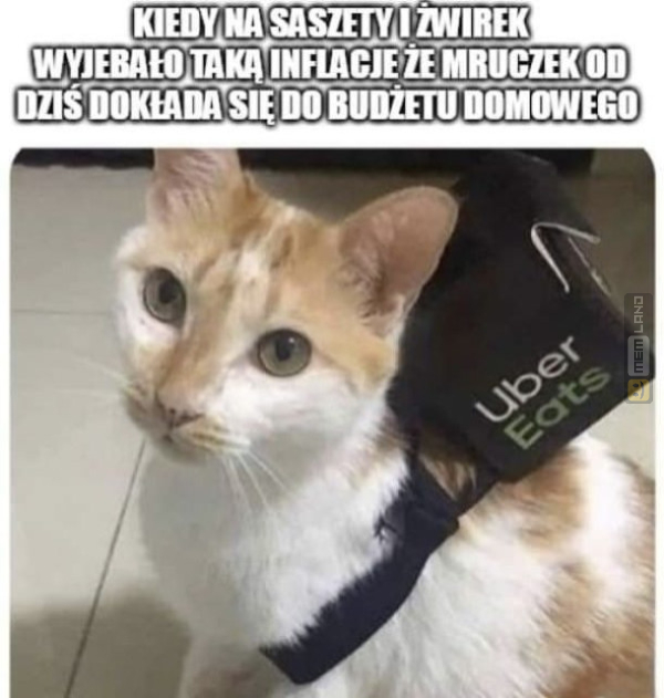 Śmieszny mem: 1780730 - MemLand