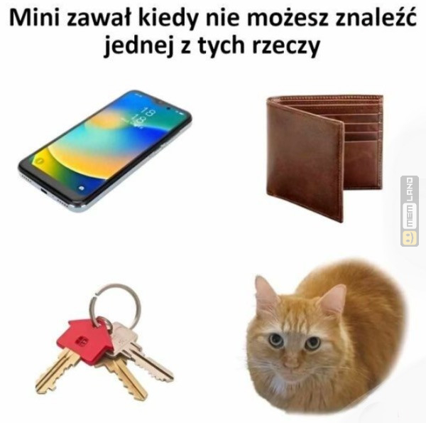 Śmieszny mem: 1783499 - MemLand