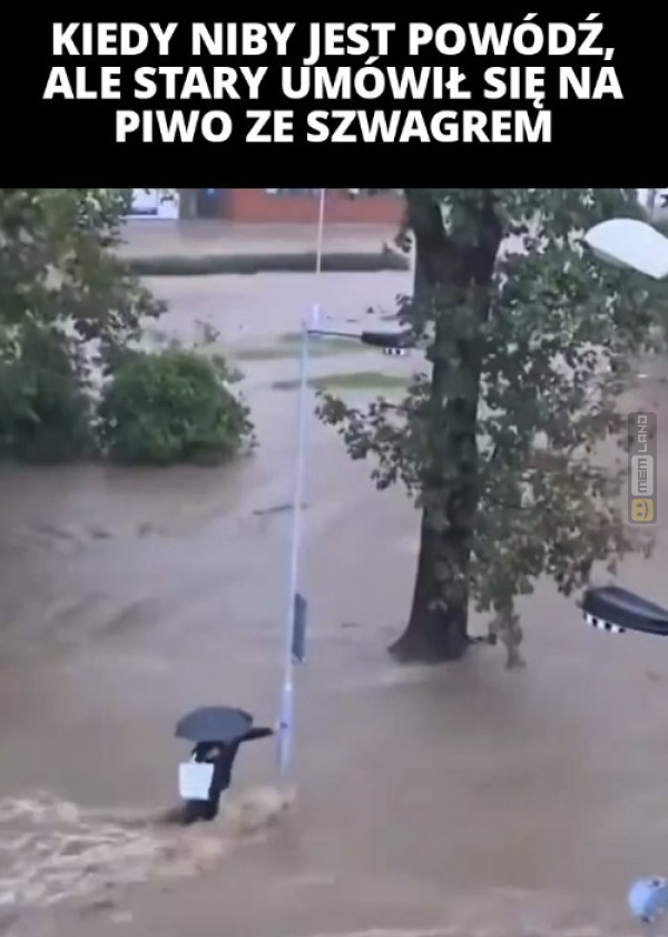 Śmieszny mem: 1784120 - MemLand