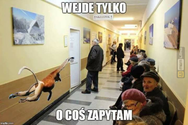 Śmieszny mem: 1795700 - MemLand