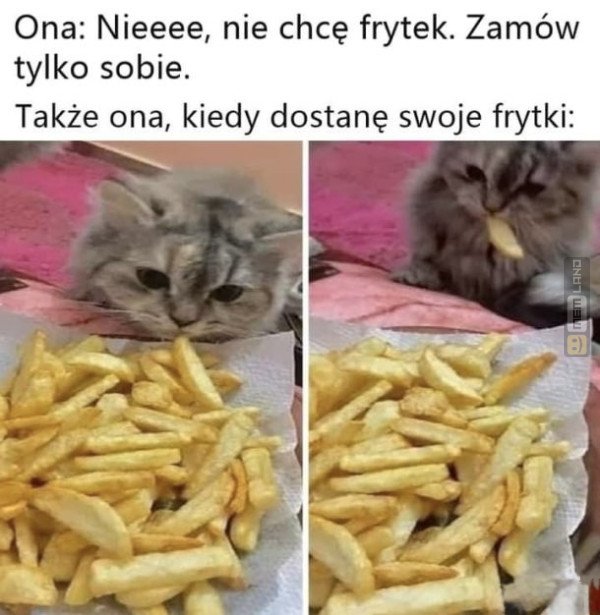 Śmieszny mem: 1796275 - MemLand