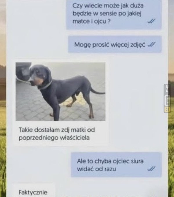 Śmieszny mem: 1796485 - MemLand