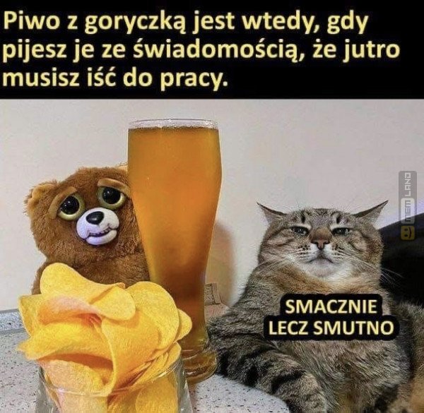 Śmieszny mem: 1799257 - MemLand