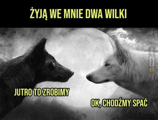 Śmieszny mem: 1799523 - MemLand