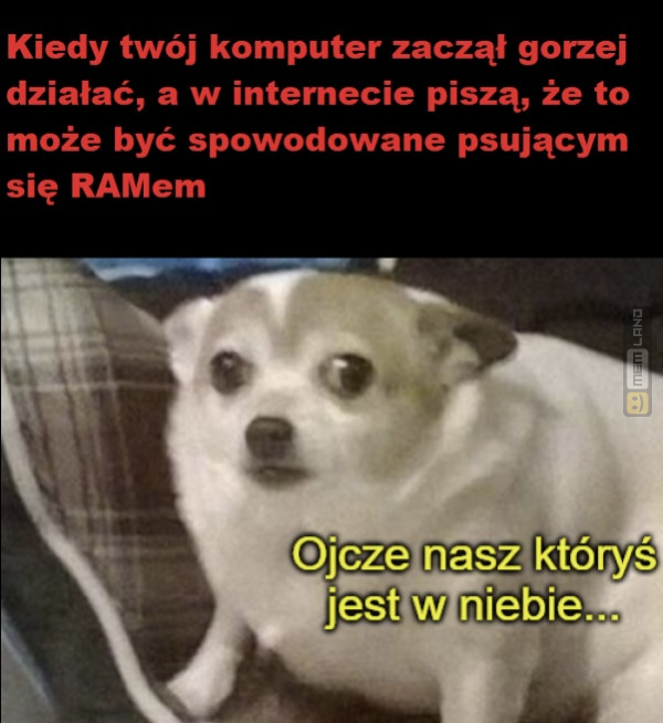 Śmieszny mem: 1801241 - MemLand