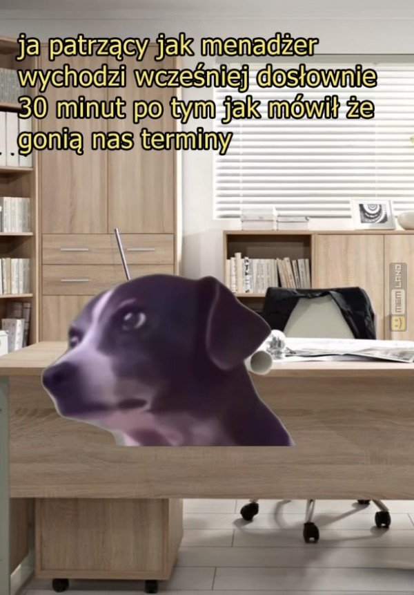 Śmieszny mem: 1805523 - MemLand