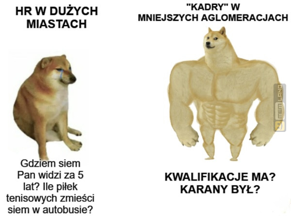 Śmieszny mem: 1808380 - MemLand