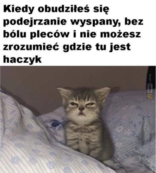 Śmieszny mem: 1809950 - MemLand