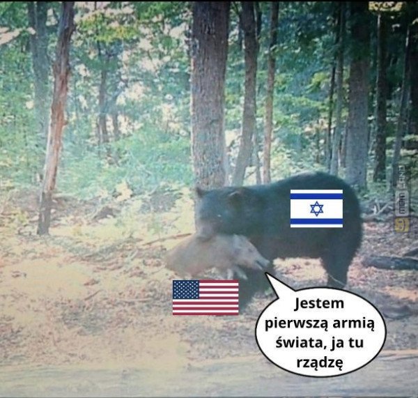Śmieszny mem: 1810250 - MemLand