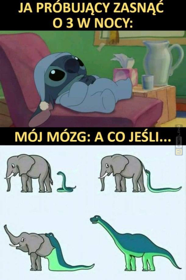 Śmieszny mem: 1813763 - MemLand