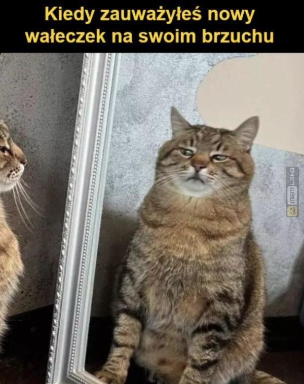 Śmieszny mem: 1816870 - MemLand