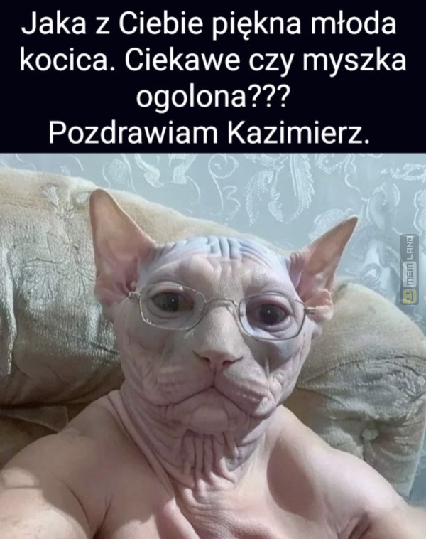 Śmieszny mem: 1823754 - MemLand