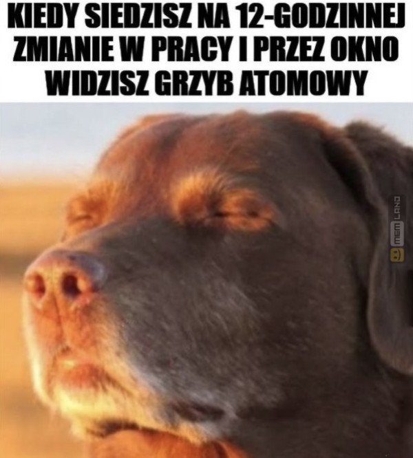 Śmieszny mem: 1829407 - MemLand