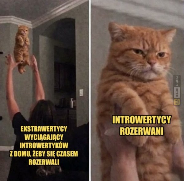 Śmieszny mem: 1834024 - MemLand