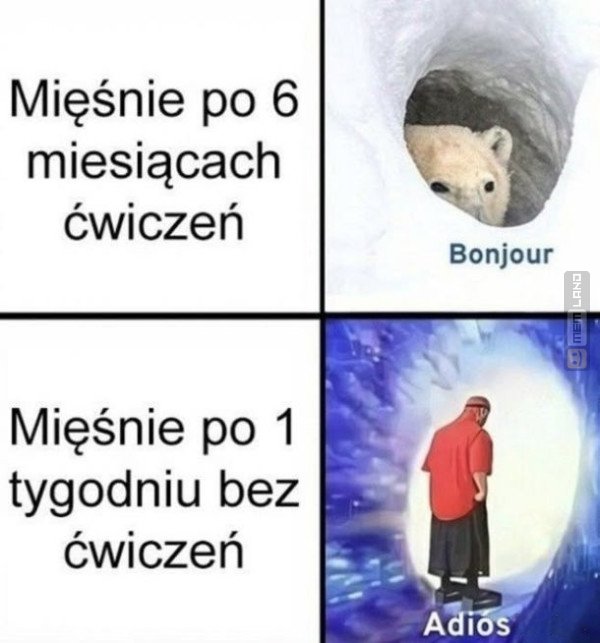 Śmieszny mem: 1835513 - MemLand