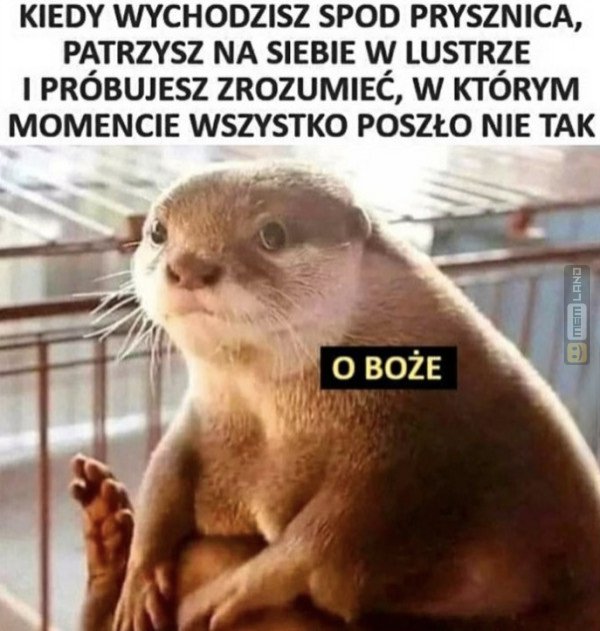 Śmieszny mem: 1839721 - MemLand