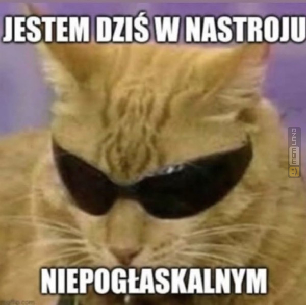 Śmieszny mem: 1845323 - MemLand