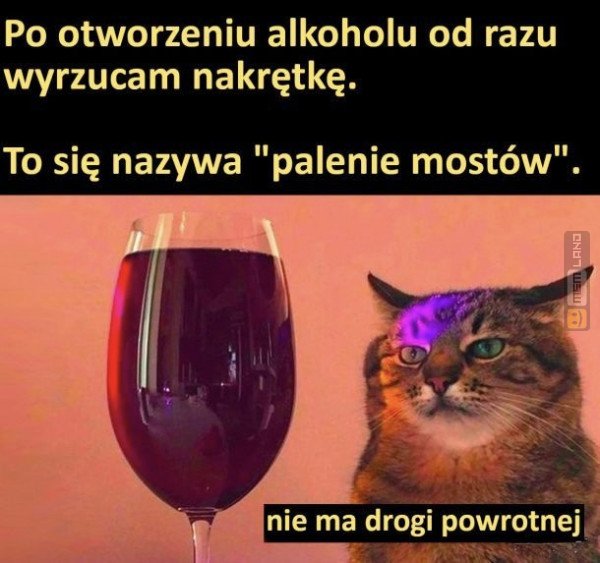 Śmieszny mem: 1849735 - MemLand