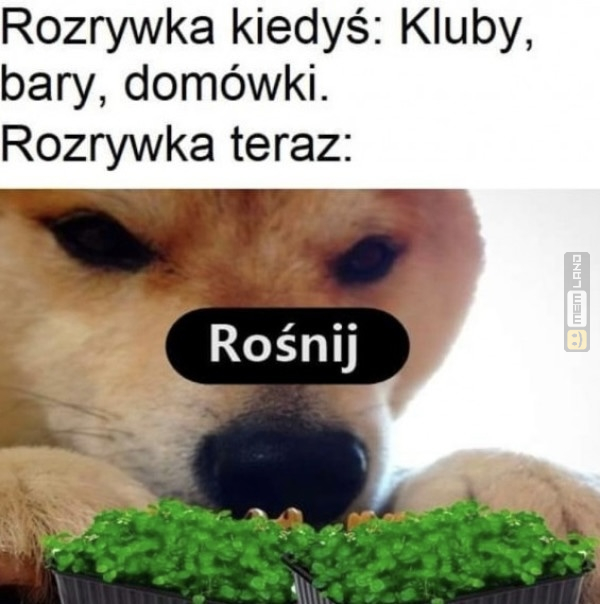 Śmieszny mem: 1850086 - MemLand