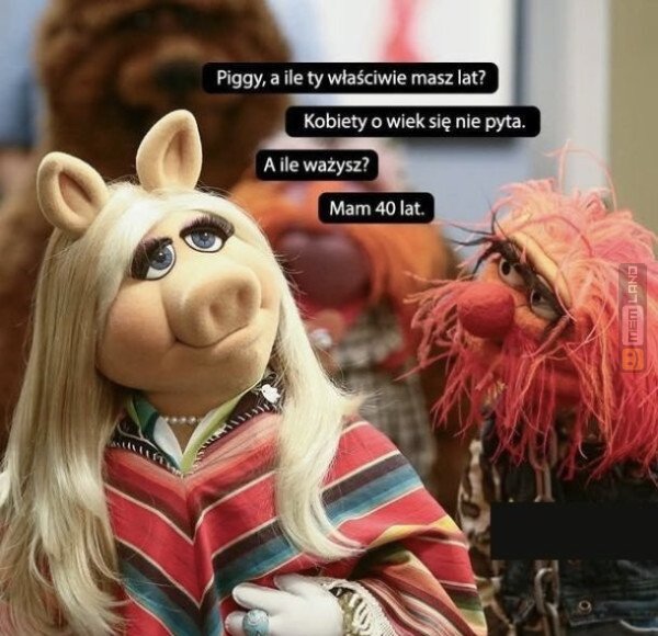 Śmieszny mem: 1850604 - MemLand