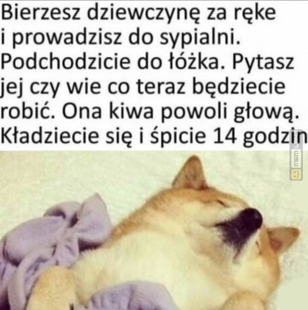 Śmieszny mem: 1852738 - MemLand