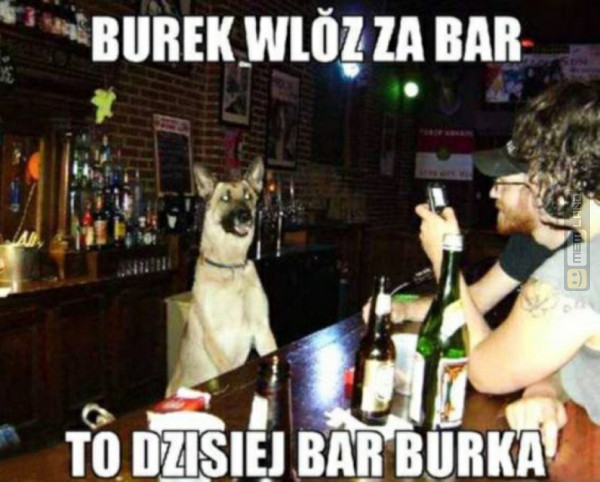 Śmieszny mem: 1865834 - MemLand