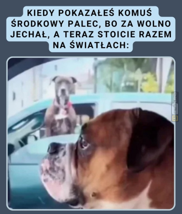 Śmieszny mem: 1869698 - MemLand