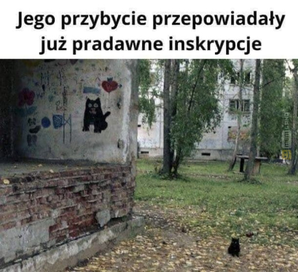 Śmieszny mem: 1884558 - MemLand