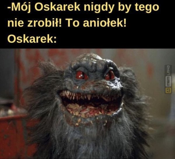 Śmieszny mem: 1892532 - MemLand