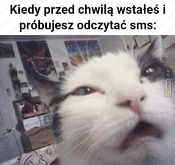 Śmieszny mem: 1896599 - MemLand