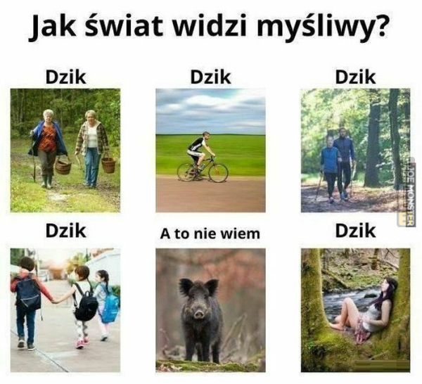 Śmieszny mem: 1898645 - MemLand