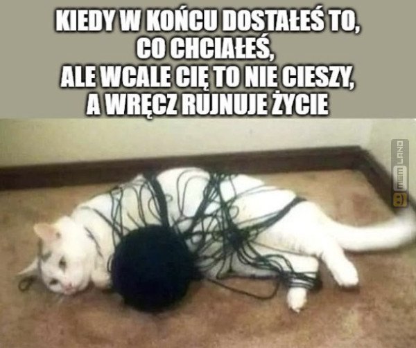 Śmieszny mem: 1899545 - MemLand