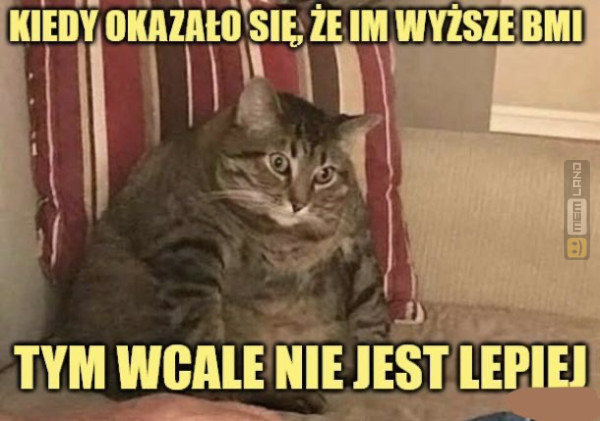Śmieszny mem: 1900598 - MemLand