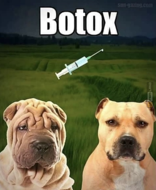 Śmieszny mem: 1904488 - MemLand